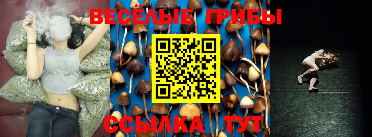 Дюртюли  Галлюциногенные грибы MAGIC MUSHROOMS  Вход с VPN 